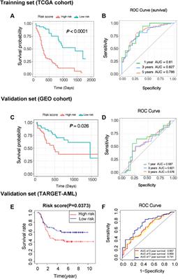 Identification and Validation of a Prognostic Risk-Scoring Model Based on Ferroptosis-Associated Cluster in Acute Myeloid Leukemia